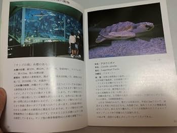 沖縄海中動物生態図鑑 2025年最新】Yahoo!オークション -沖縄海中動物生態図鑑の中古品